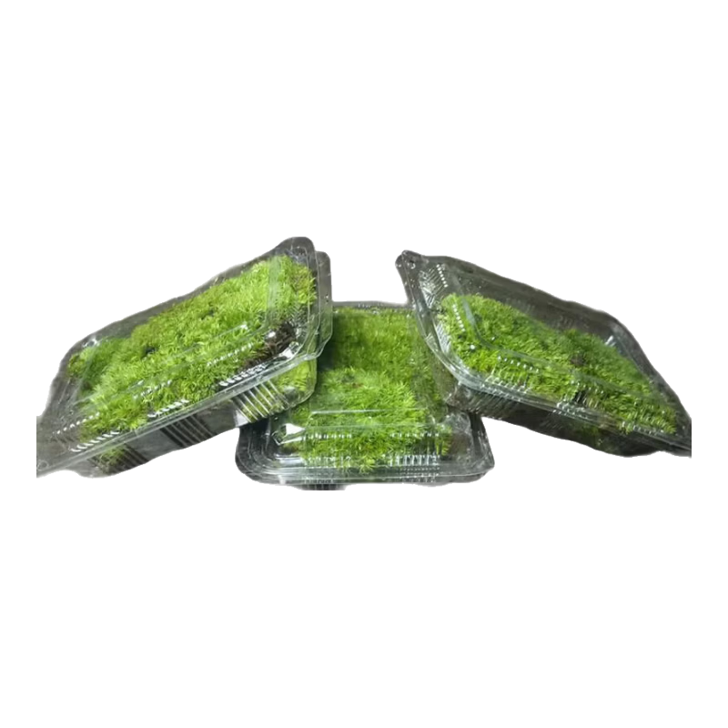 С������̦޺ ����̦޺  11*8cm һ�� ΢�����쾰����0.94Ԫ