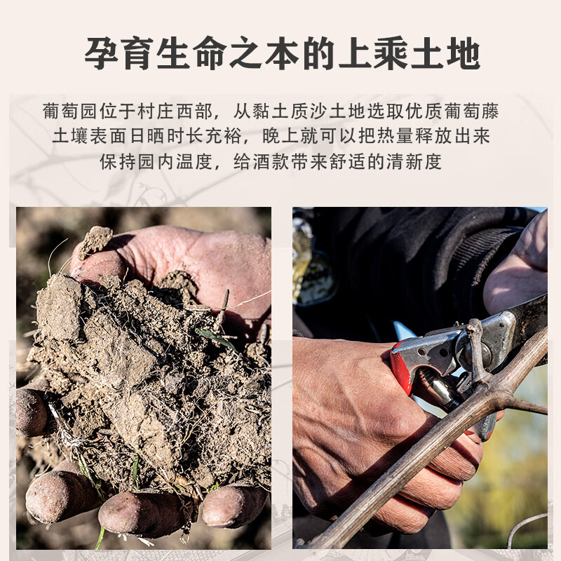 ACCORNERO意大利原瓶进口翡丽山四方园荣耀阿布鲁佐红葡萄酒 送礼750ml 翡丽山四方园荣耀阿布鲁佐红葡萄酒