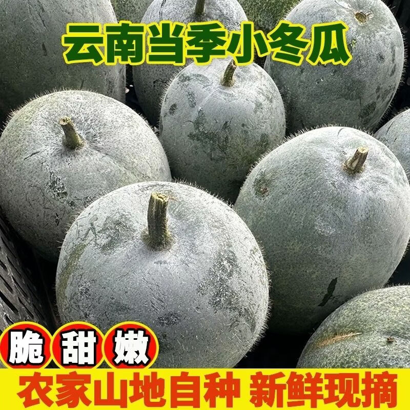 云贵高原原生态古法种植山野富硒小冬瓜0农残0添加高营养稀缺品质 云南原生态稀缺冬瓜(买8斤送500g云南小黄姜） 4000g
