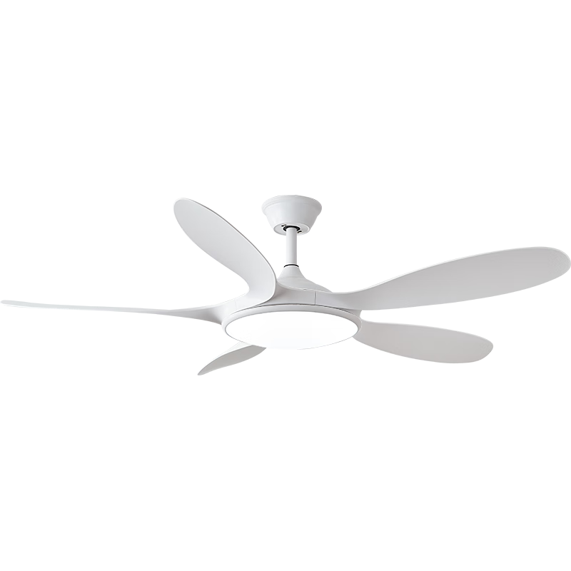 رŷȵƼÿȵһ2025¿ɽƾ ɫ565Ҷ-Ƶ6--ң