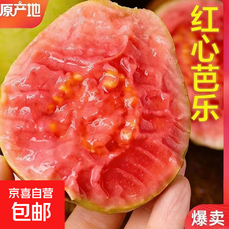 京喜加广东产地直采低脂正宗红心芭乐软糯香甜新鲜水果单果100g+ （带箱1斤）红心净重0.8斤