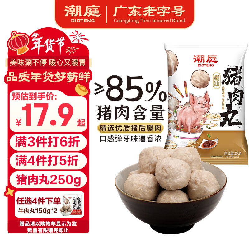 潮庭 正宗汕头手工猪肉丸 250g/袋  夜宵关东煮火锅食材烧烤煮汤年货