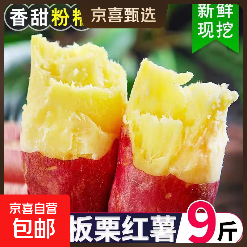 正宗黄心板栗红薯新鲜沙地蜜薯粉糯香甜宝宝辅食直播间京东包邮 板栗红薯 1斤 含箱 中大果（单果3两起）