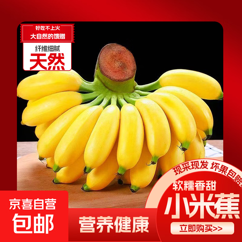 京喜加正宗广西小米蕉产地直供粉糯芭蕉水果皇帝蕉坏果包赔翕果13 小米蕉 带箱9斤