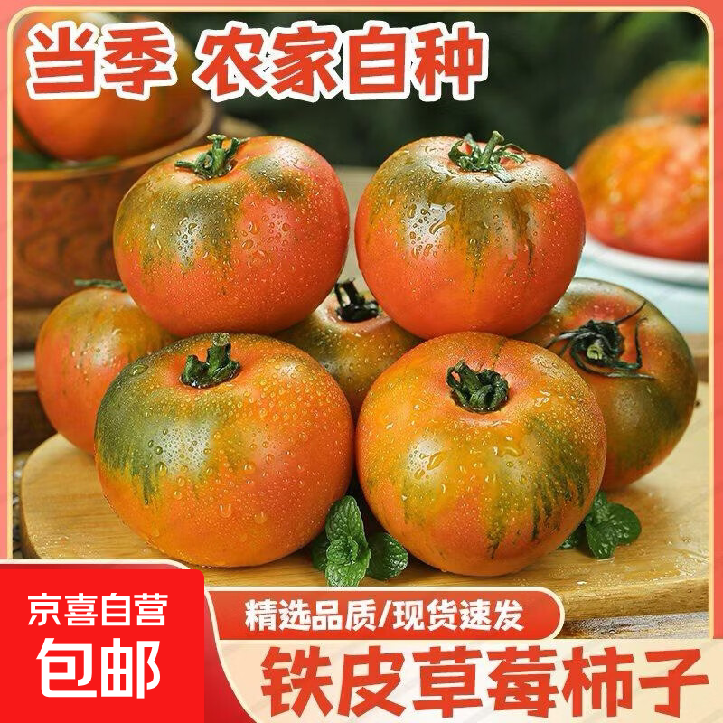 【柿柿如意】正宗铁皮柿子口感番茄新鲜西红柿蔬菜水果生吃超市 丹东铁皮柿子 4.5斤 净重 中果