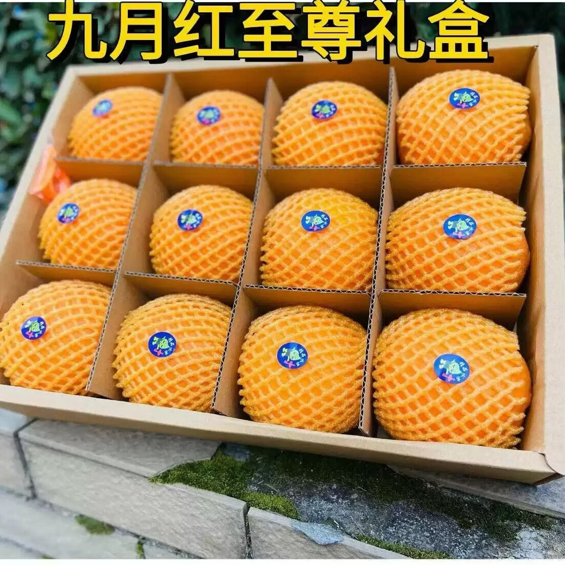 秭归红现摘湖北秭归中华红橙血橙应季皮薄新鲜水果产地直发 【水果礼盒】红橙臻品12枚（80mm+）