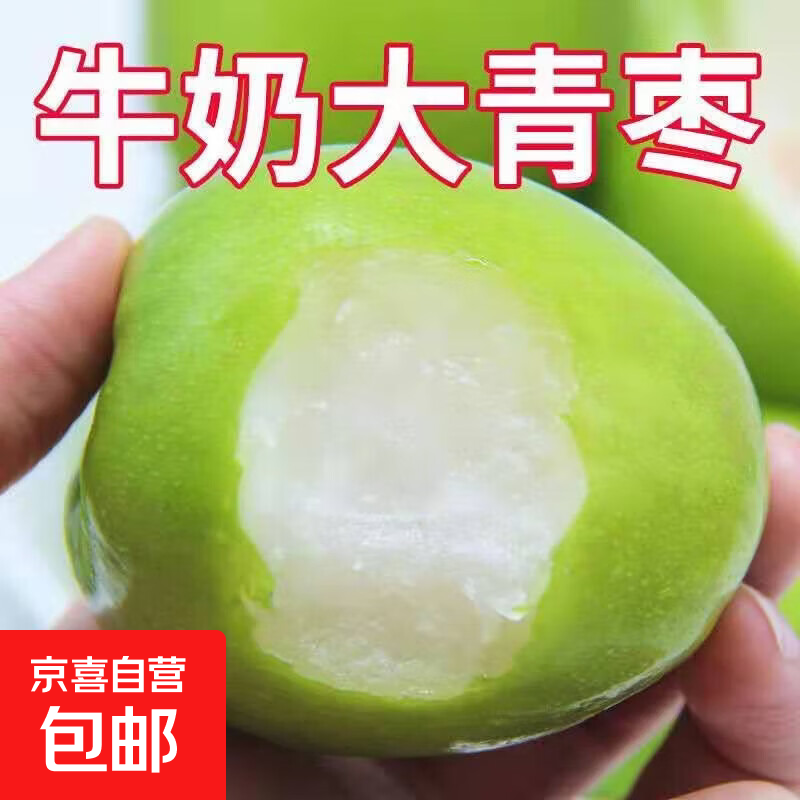 牛奶枣大青枣新鲜水果当季应季5/3/1斤甜脆蜜枣贵妃枣冬枣 3斤 只发商超高品质