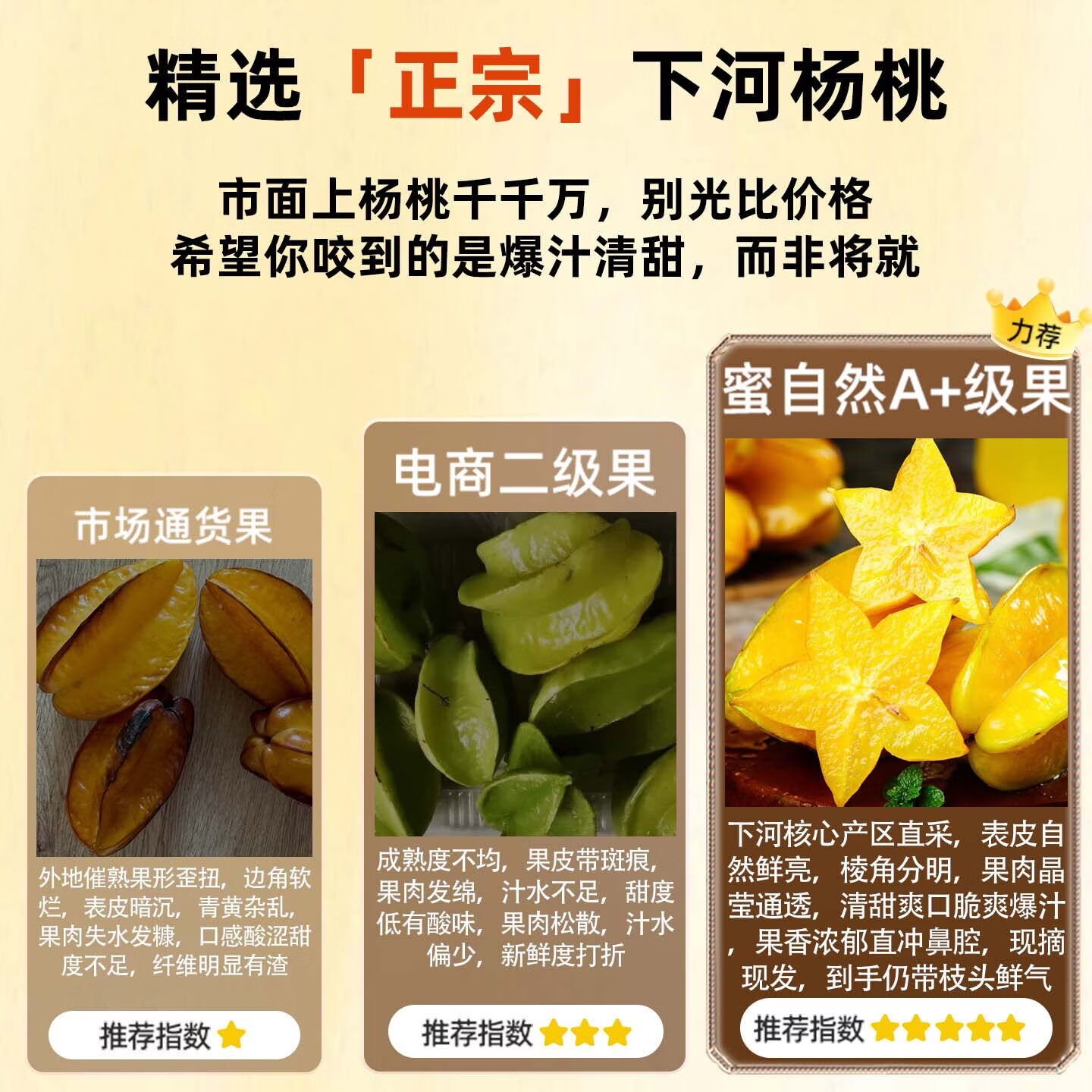 顶掌柜福建漳州特产应季杨桃5斤新鲜水果整箱包邮当季现摘脆甜多汁大果 5斤 【单果4-5两】清甜爆汁，高性价比