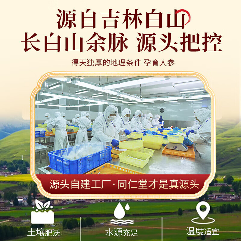 北京同仁堂长白山人参礼盒泡酒煲汤送长辈滋补品春节年货礼盒 100g*1盒