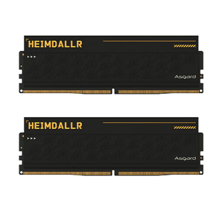 asgard/��˹���� ��ķ��� DDR5  6000MHz �ڴ��� 24G 1459Ԫ