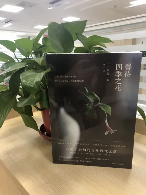 善待四季之花