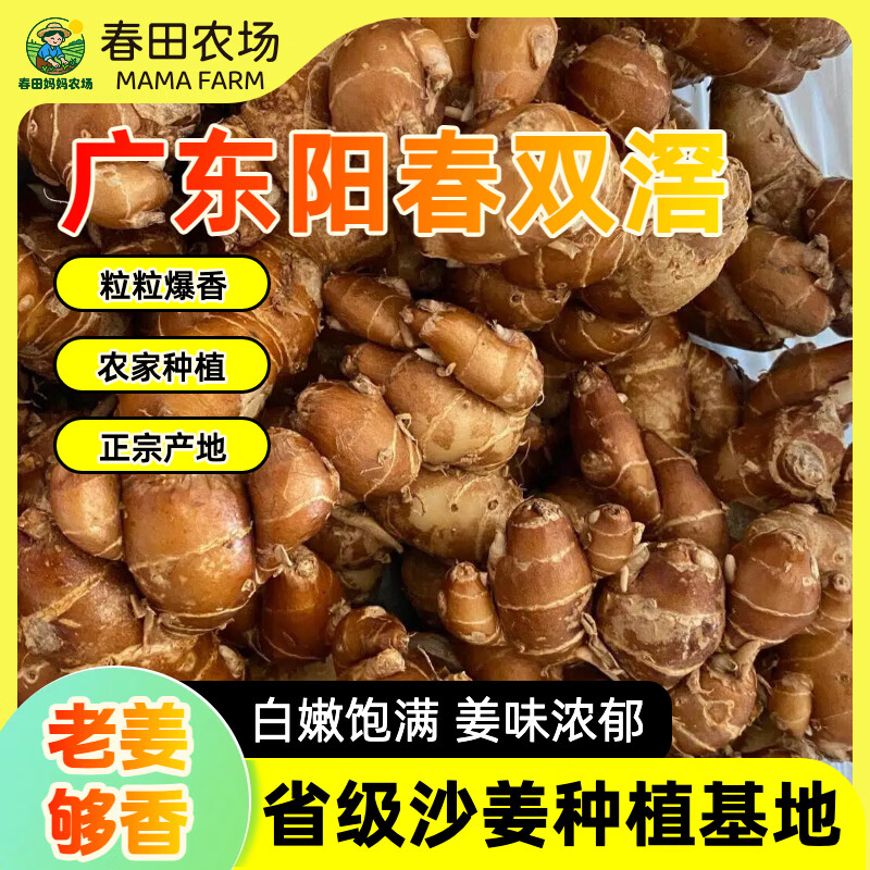 【沙姜之乡】广东特产正宗阳春双滘新鲜沙姜调味提鲜增香双窖山奈 广东省级沙姜种植基地甄选 【1斤尝鲜装】姜味浓郁，来自深山老林