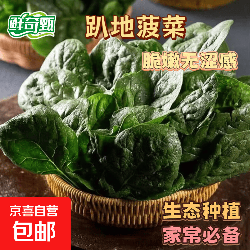 【东东买菜】新鲜趴地菠菜农家自种露天霜打红根精品趴地菠菜 彩箱礼盒2斤【新鲜现挖】 京东快递-更快更好