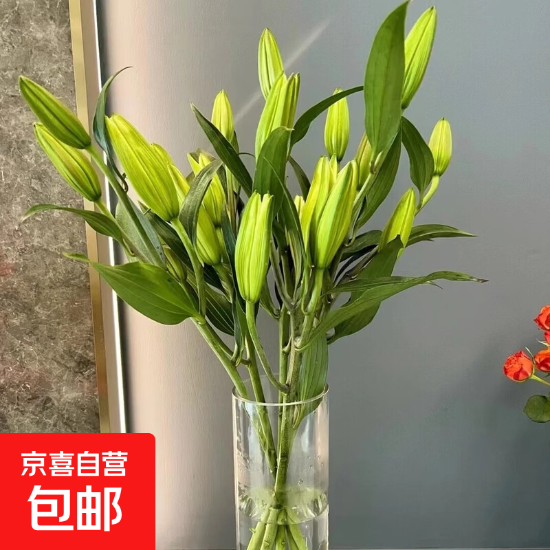 百合鲜花云南昆明基地直发混搭38女神妇女节礼物2 随机特价百合6头（不指定品种，颜色）