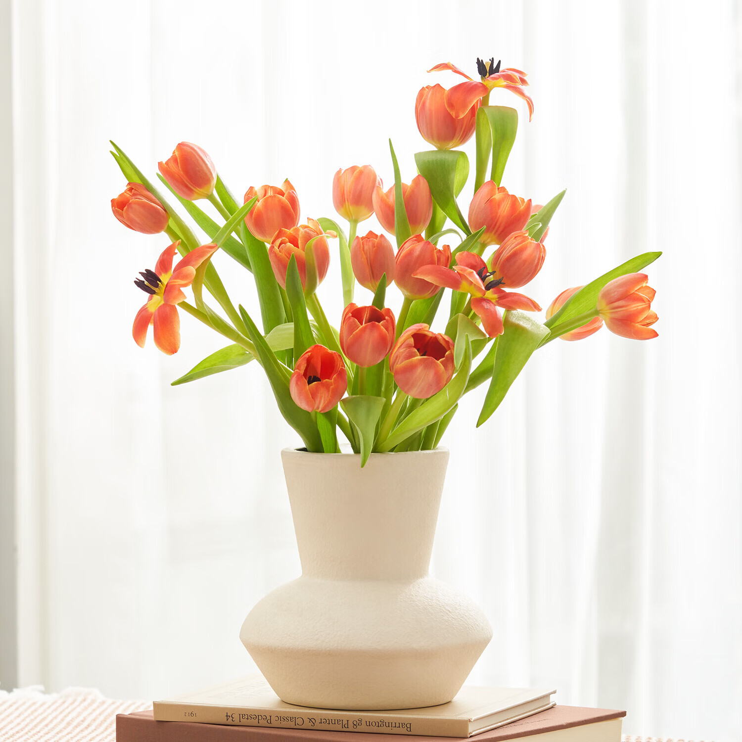 ������ ���������л�����ͬ�������ʻ�����ֱ�� ���ɫ������5֦ 14.9Ԫ