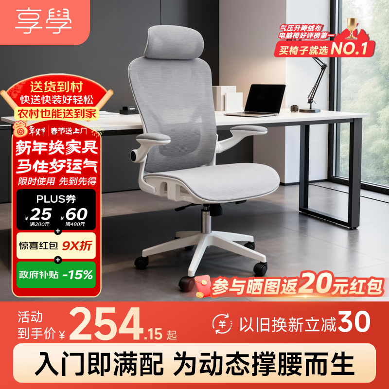 享学电脑椅人体工学电竞椅家用办公椅大双背旋转腰托 XC504甄选款灰色