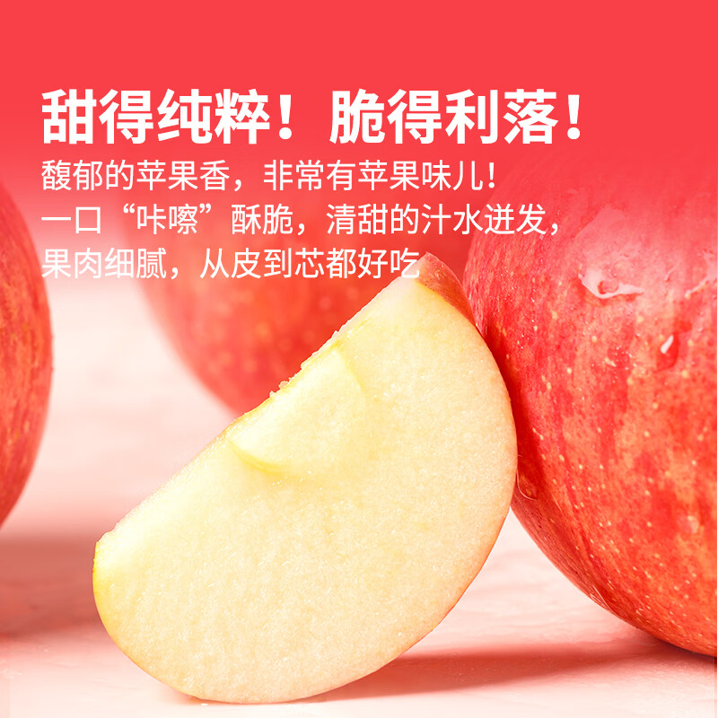 东方甄选洛川苹果水果新鲜当季整箱时令生鲜脆甜多汁4斤-8.5装过年年货 5斤(中果200g+ 8-12个)