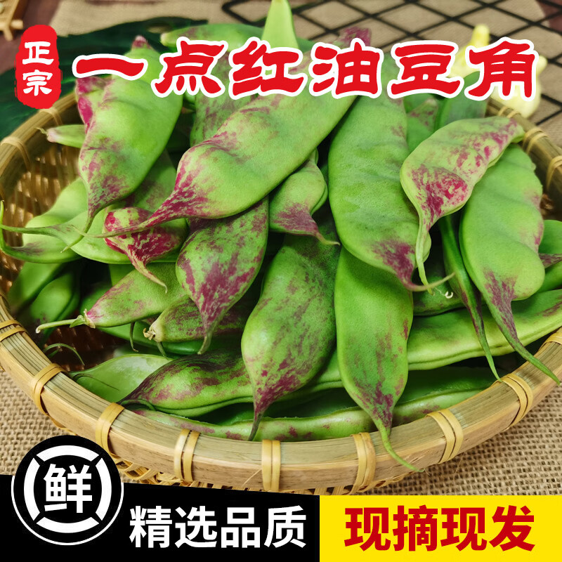良知農(nóng)哥【順豐】東北/廣東油豆角 九月青豆角寬面豆角 開鍋爛 健康輕食 廣東新鮮油豆角丨圓通 5斤裝