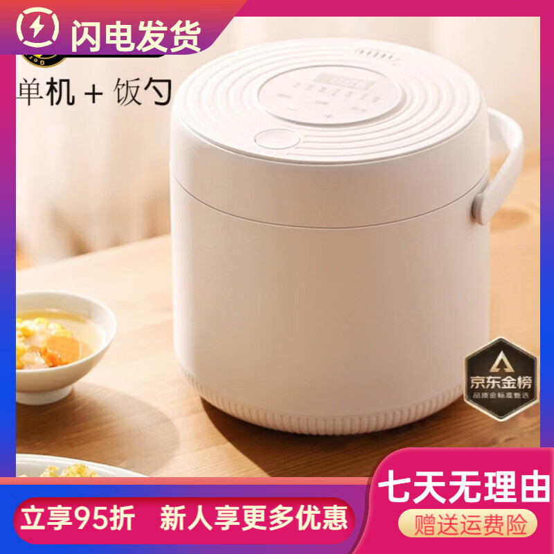 德国进口110v电饭煲迷你小型电饭锅出国旅行便携式出口美国日本小家电器 110v电饭煲-国内禁用 3L