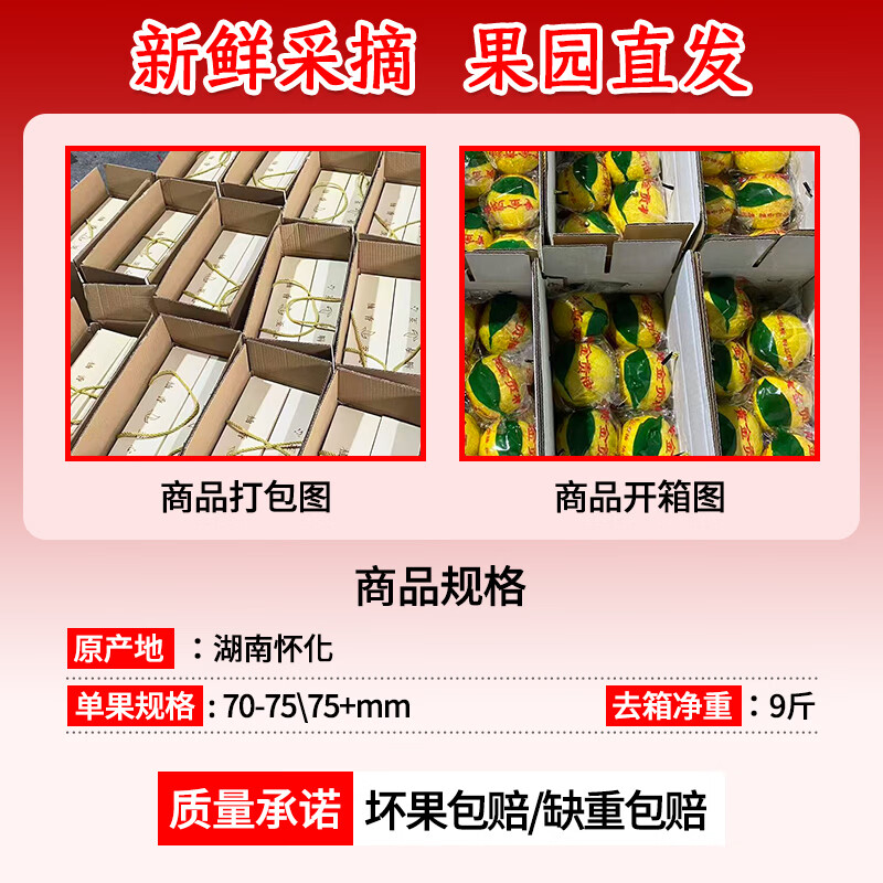 品鲜将黄金贡柚湖北怀化柑橘柚子春香柚黄金柑时令新鲜水果年货礼盒 贡柚礼盒 9斤 果径70mm