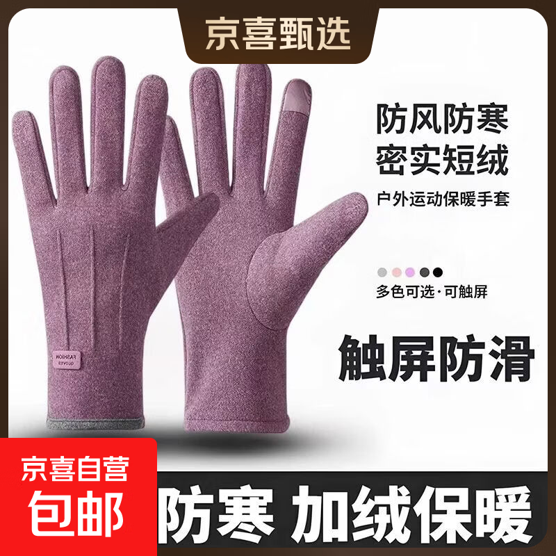 秋冬季手套女加绒加厚户外骑行电车开车防风防寒触屏冬天保暖手套 【女士三线】-紫色 均码