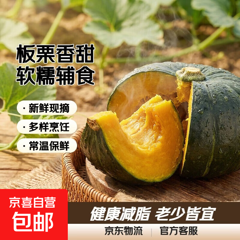 正宗现摘当季贝贝南瓜板栗味宝宝老人辅食软糯香甜减脂新鲜蔬菜 贝贝南瓜带箱1斤装（小果） 1斤