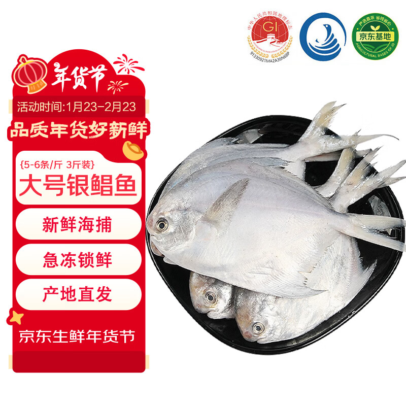 鲜京采 冷冻舟山地标鲜捕大号银鲳鱼净重3斤 5-6条/斤 源头直发 年货节