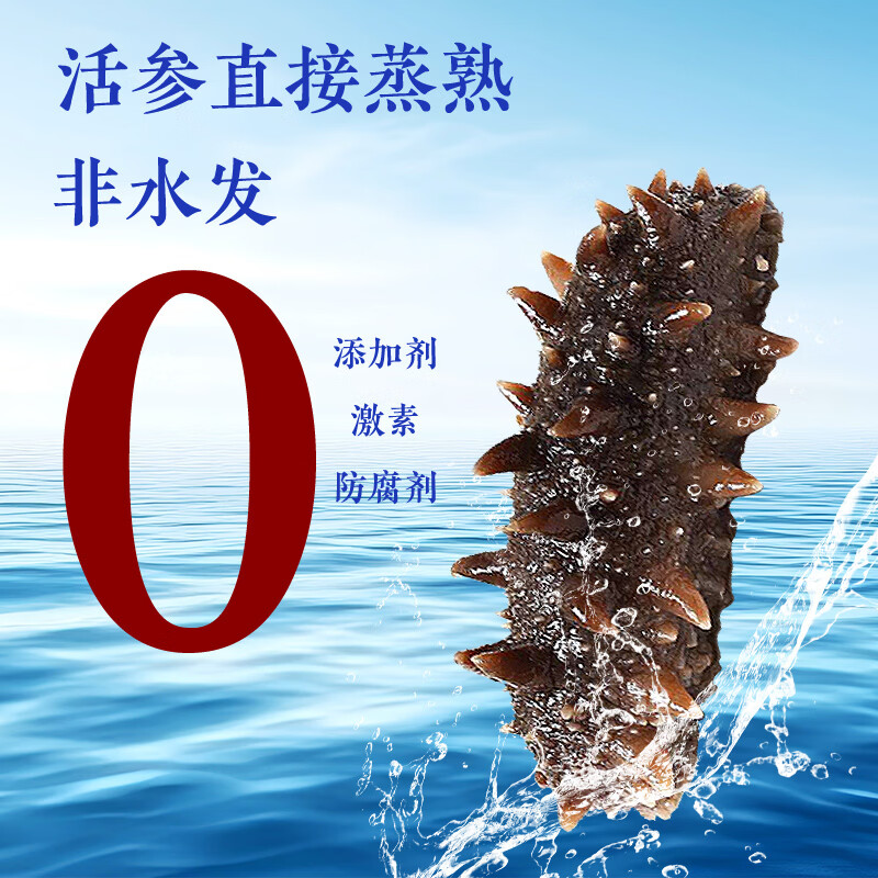 亿鲜笙鲜蒸即食海参鲜活加工佛跳墙食材大连辽刺参中老年滋补高营养海参 9厘米左右鲜蒸海参 30只装