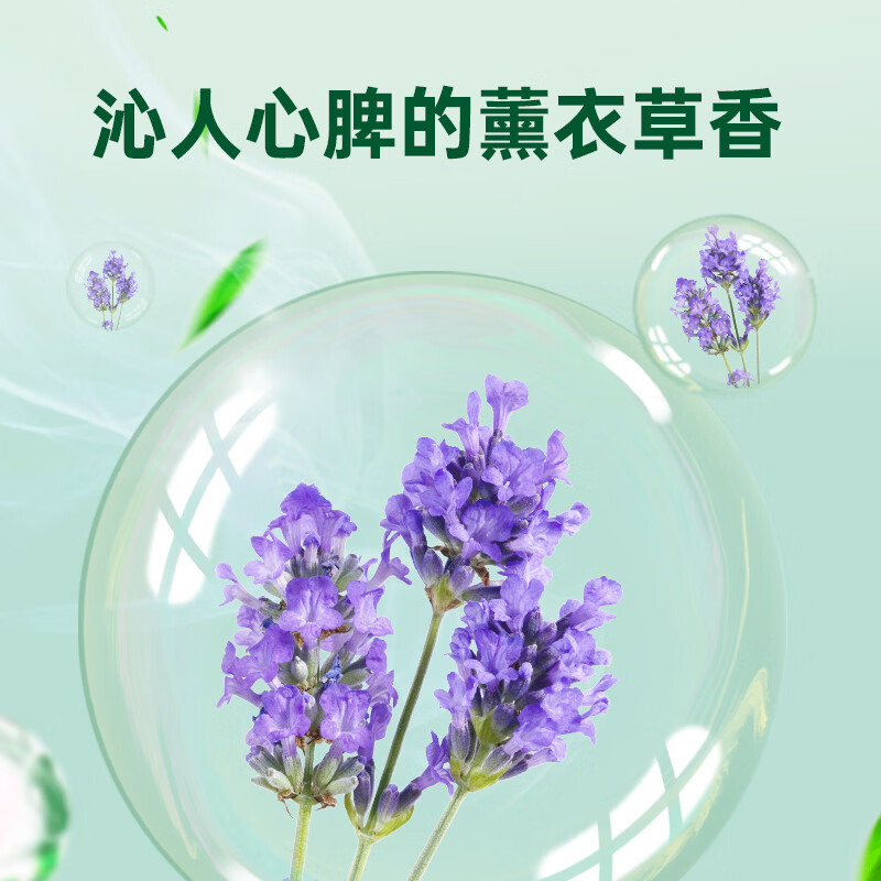 滴露 滴露衣物除菌液3L杀菌除螨去味除菌剂洗衣伴侣清洁可机洗 【经典组合】3L柠檬*1+3L薰衣草*1