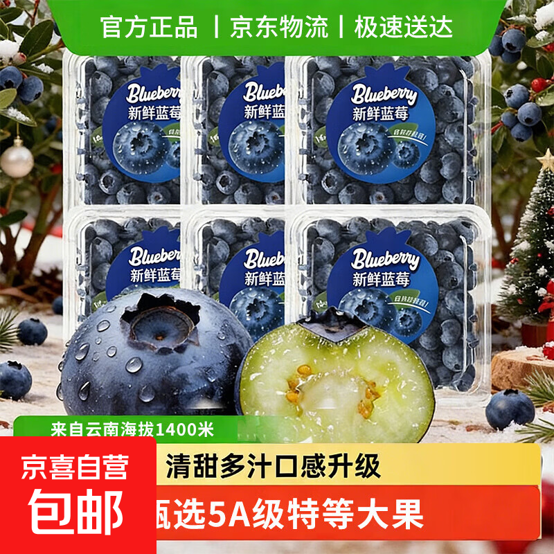 云南蓝莓新鲜蓝莓时令当季特大果花香新鲜水果辅食水果当应季新品 2盒 小份装【70g/盒】 品质中果【单果15mm+】