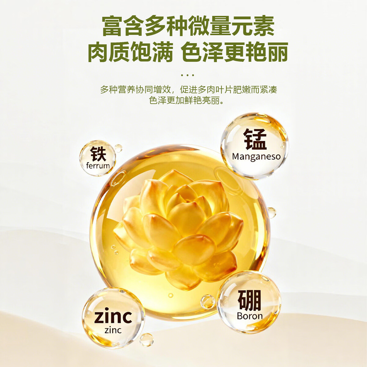 多肉营养液专用肥植物肥料水溶上色液体优芽爆芽矮壮生根素营养液 全多肉植物专用营养液1100ml