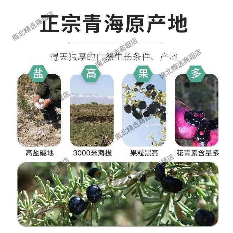 南京同仁堂青海黑枸杞天然花青素养颜枸杞泡水正宗 90g南京同仁堂黑枸杞 1g 1罐* 1罐