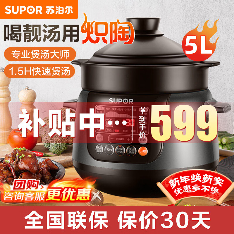 苏泊尔（SUPOR）电炖锅电砂锅电炖盅煲汤锅家用耐高温中华炽陶内胆炖肉锅煲粥炖汤养生煮粥锅熬粥养生锅5L4L大容量 5L 炽陶+精控快炖