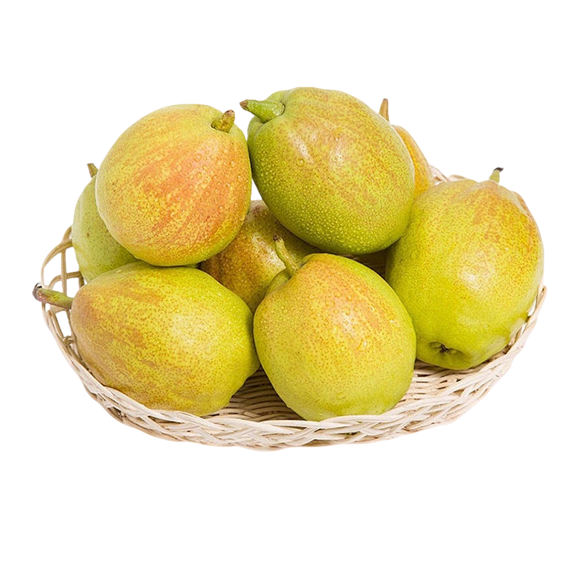 京觅库尔勒香梨 净重5斤 单果120g+ 脆甜爽口 生鲜水果 源头直发