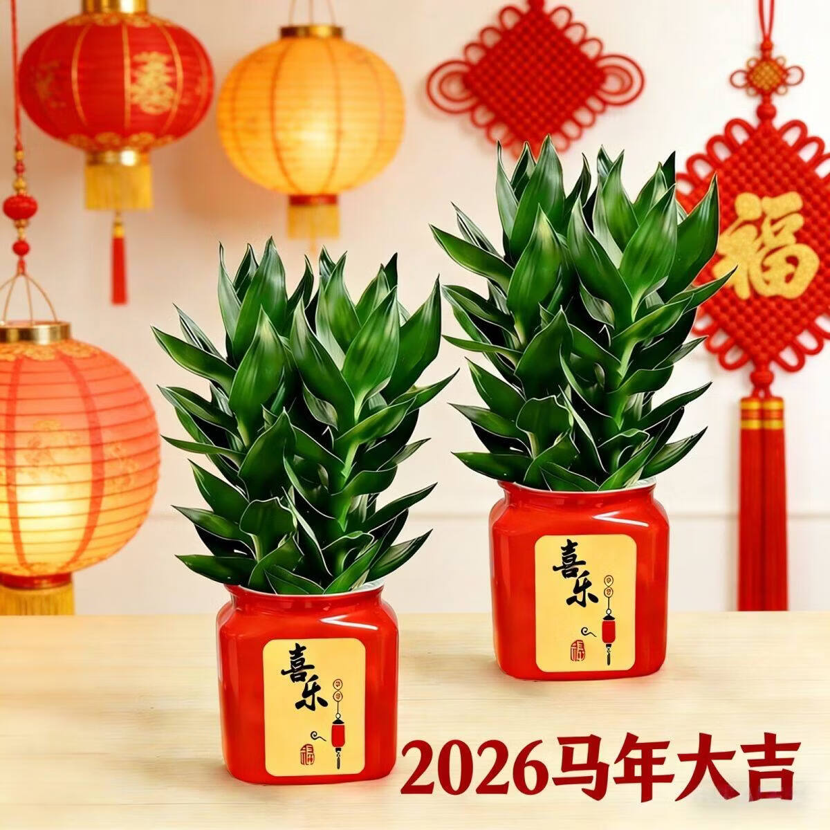 观音竹富贵竹水培植物轻奢花卉绿植办公室内盆栽四季常青好养活 富贵竹3颗【1盆】