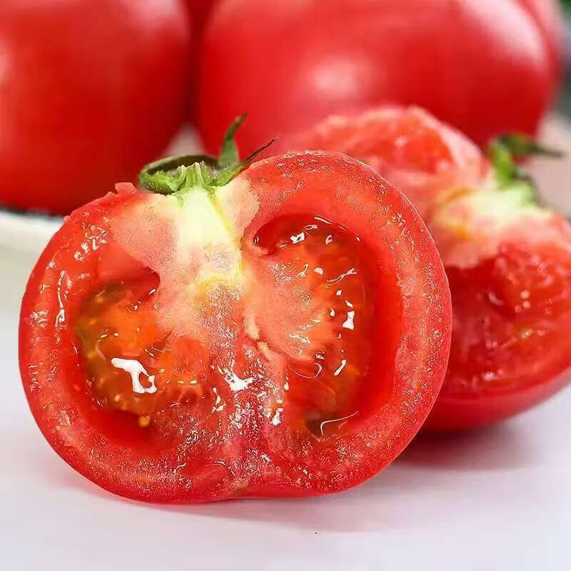 果鲜巢陕西泾阳普罗旺斯水果西红柿自然成熟沙瓤番茄当季新鲜蔬菜4.5斤 普罗旺斯水果西红柿 5斤 净重4.5斤 小果70克以上