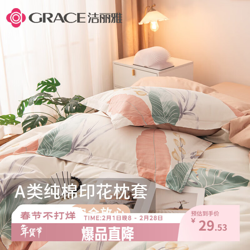 洁丽雅（Grace）枕套A类100%全棉 抗菌面料 吸汗枕头套 清雅 一对装 48*74cm