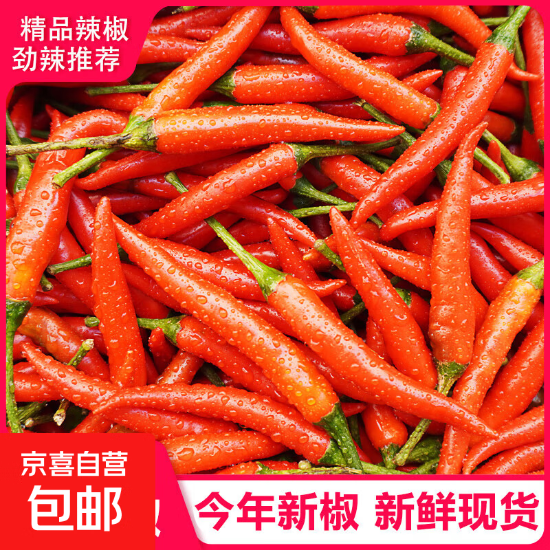 小米辣椒新鲜批发小米椒朝天椒特辣超辣薄皮土红辣椒指天椒 500g(新鲜采摘爆辣)