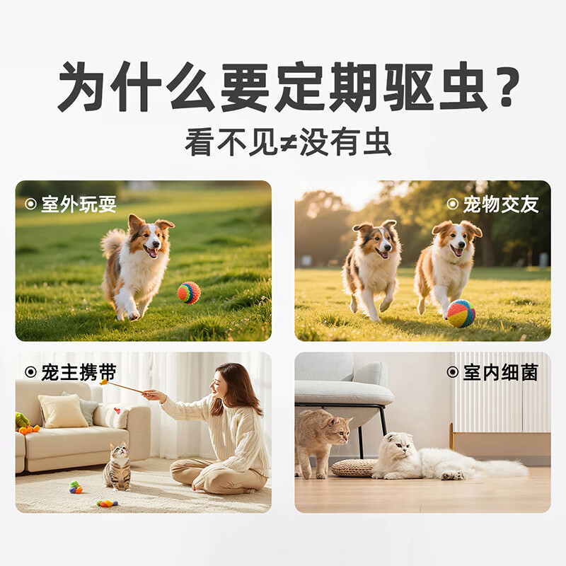 顽宠爱米尔贝肟吡喹酮片猫咪驱狗狗虫药体内外驱虫线虫蛔虫绦虫驱虫一体 【内外驱虫组合】中大犬10-25kg 1粒*1盒