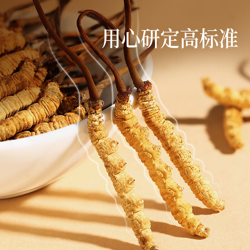 北京同仁堂冬虫夏草礼盒装年货礼盒虫草礼同仁堂礼盒 孝敬父母长辈送领导 本链接勿拍，请联系客服下单