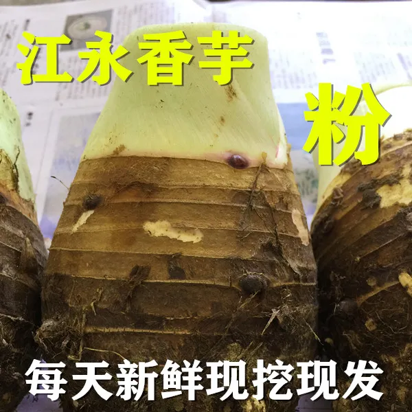 【正宗江永香芋】湖南永州特产农家新鲜芋头槟榔芋新鲜大芋头 净重9斤特大果3-5个