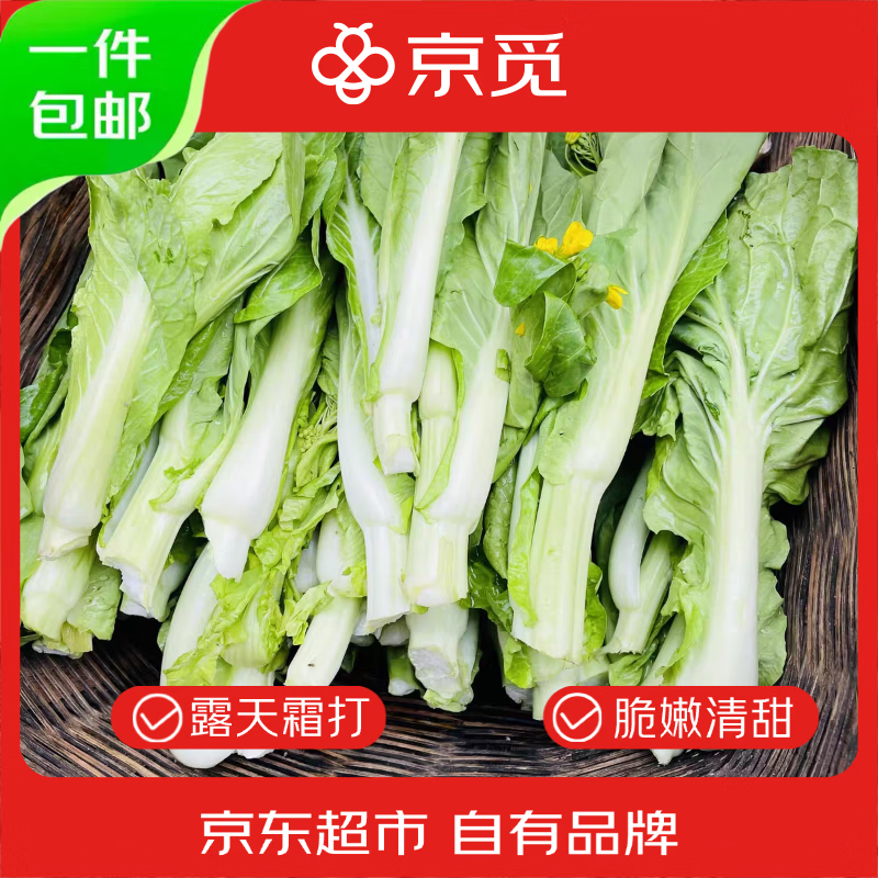 ���ٺ����ײ�̦¶����ֲ��˪�߲˾���5�� Դͷֱ��������ժ����