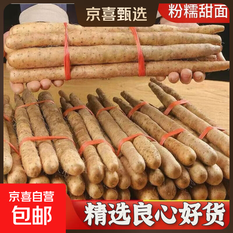 河北正宗麻山药蠡县山药正宗铁棍山药煲汤孕妇儿童辅食药食同源 5斤（40cm左右） 净重