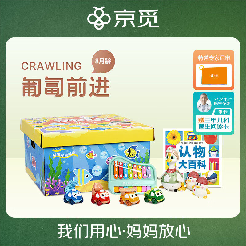 早教盒子 8月龄儿童早教玩具套装宝宝玩具 男孩女孩生日礼物