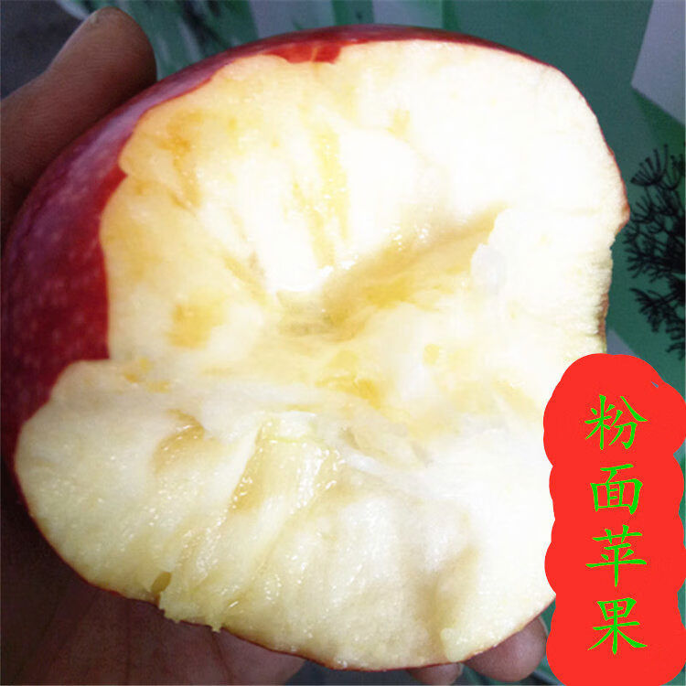 秦林鲜水果苹果粉面香甜老人宝宝刮泥孕妇应季水果软糯红香蕉 4点5斤 80mm含85mm不含