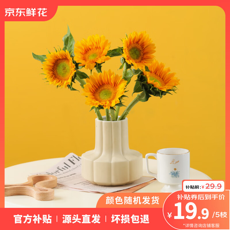 女神节特惠！绿心向日葵5支装直降19.9元，单朵仅3.9元