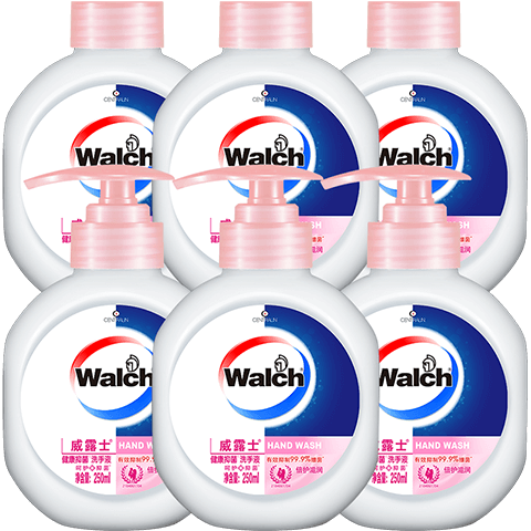 ���ڲ�������¶ʿ�����־�ϴ��Һ250ml*6ƿ ����װ��ͯ��ͥװ�����־�99.9% 183.1Ԫ��5��(��36.62Ԫ/��)