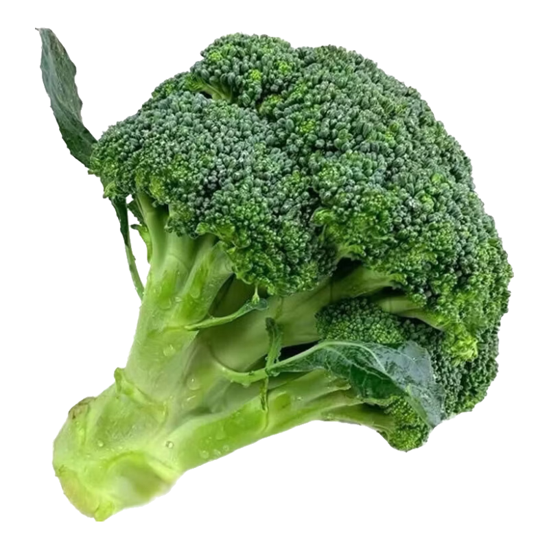 ���������� ¶�컨�� ũ������ ɳ���߲� ����ر� 5�ﾻ�� 6.99Ԫ