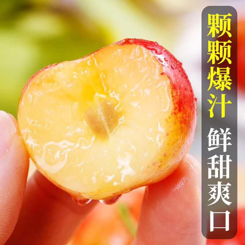 橙市码头美国进口雷尼尔黄金樱桃车厘子【空运次日达】高端水果送礼品物盒 2J超大果【精美礼盒】 2斤(净重)