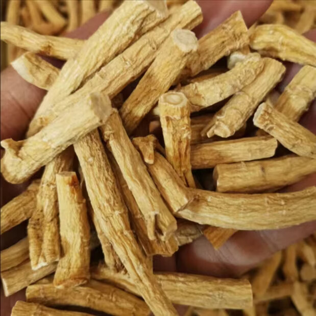 OO-UMAI(加拿大西洋参)足五年花旗参大货修的:下特大枝大节:252克起 252g*1罐 切片